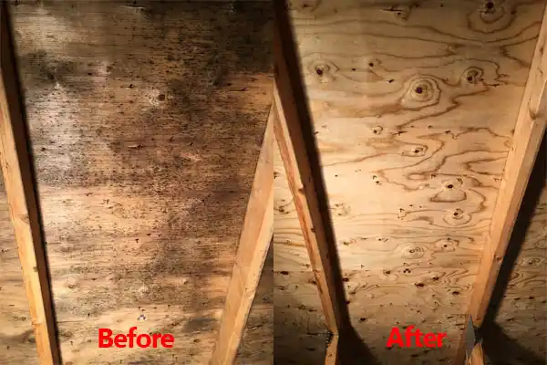 water damage restoration service Lake Providence